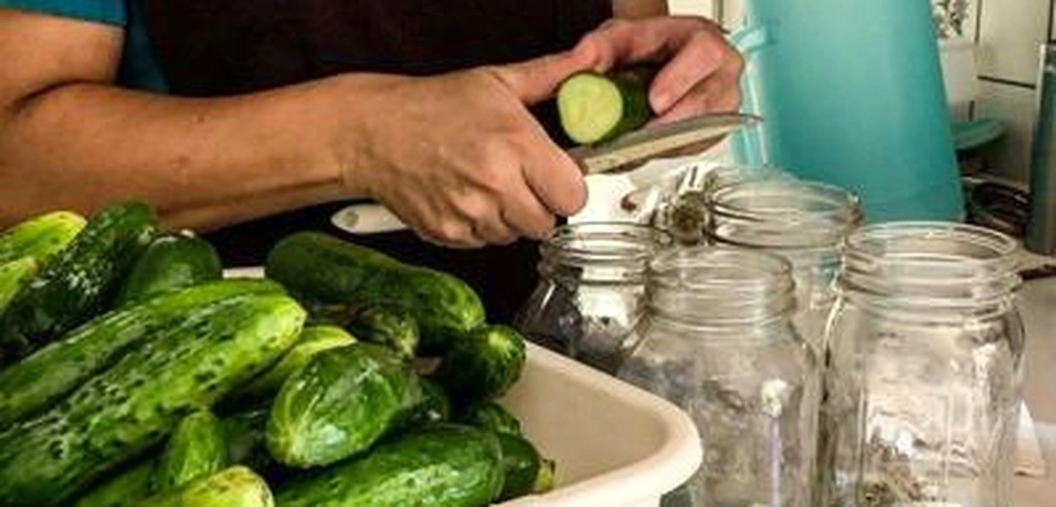 seasonal harvest canning